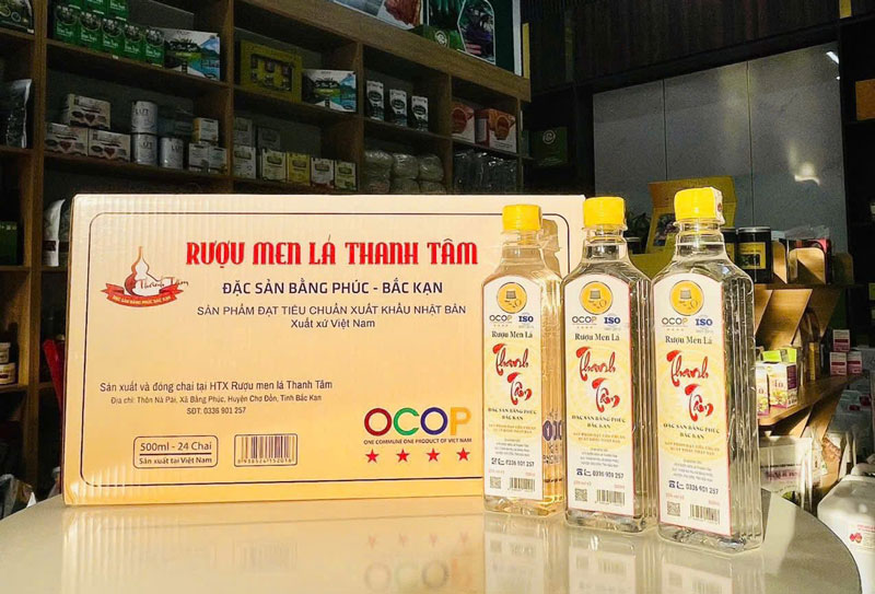 Rượu Bằng Phúc – Hương Men Nồng Nàn Từ Núi Rừng Bắc Kạn
